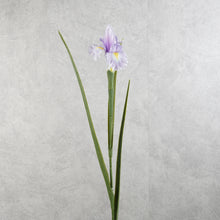 Load image into Gallery viewer, Iris Light Purple 70cm
