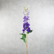 Load image into Gallery viewer, Delphinium Dark Purple 87cm
