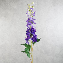 Load image into Gallery viewer, Delphinium Dark Purple 87cm
