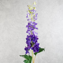 Load image into Gallery viewer, Delphinium Dark Purple 87cm
