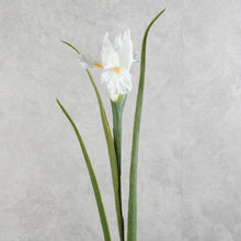 Load image into Gallery viewer, Iris White 70cm
