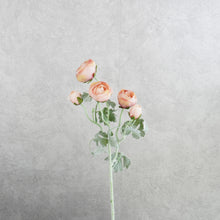Load image into Gallery viewer, Ranunculus Pink 48cm
