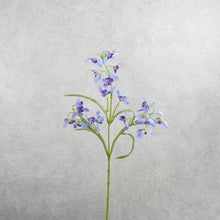 Load image into Gallery viewer, Mini Orchids Blue 50cm
