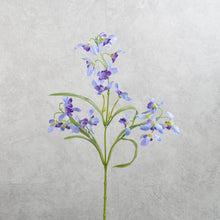 Load image into Gallery viewer, Mini Orchids Blue 50cm
