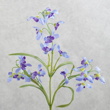 Load image into Gallery viewer, Mini Orchids Blue 50cm
