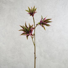 Load image into Gallery viewer, Dracaena Purple Green 82CM
