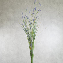 Load image into Gallery viewer, Lavender Large Purple 120cm
