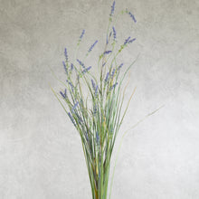 Load image into Gallery viewer, Lavender Large Purple 120cm
