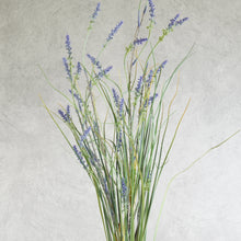 Load image into Gallery viewer, Lavender Large Purple 120cm

