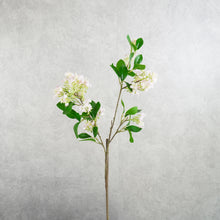 Load image into Gallery viewer, Lilac Pink 71cm
