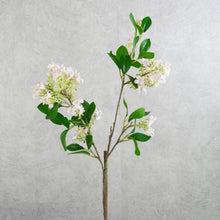 Load image into Gallery viewer, Lilac Pink 71cm
