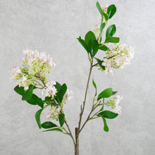 Load image into Gallery viewer, Lilac Pink 71cm
