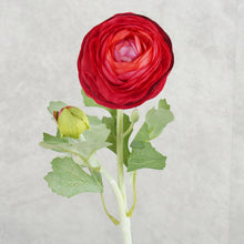 Load image into Gallery viewer, Ranunculus Burgundy
