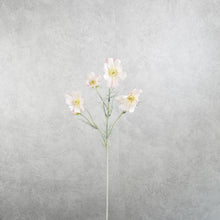 Load image into Gallery viewer, Cosmos Light Pink 60cm
