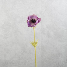 Load image into Gallery viewer, Anemone Purple 50cm
