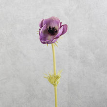 Load image into Gallery viewer, Anemone Purple 50cm
