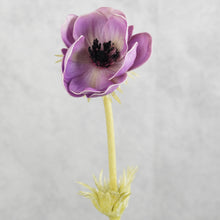 Load image into Gallery viewer, Anemone Purple 50cm
