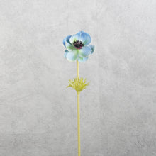 Load image into Gallery viewer, Anemone Blue 50cm
