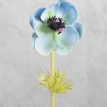 Load image into Gallery viewer, Anemone Blue 50cm
