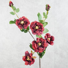 Load image into Gallery viewer, Iceberg Rose 7 Heads Burgundy 74cm

