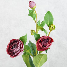 Load image into Gallery viewer, Gardenia Burgundy 54cm

