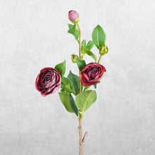 Load image into Gallery viewer, Gardenia Burgundy 54cm
