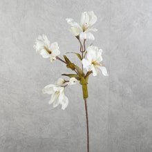 Load image into Gallery viewer, Alstroemeria White 58cm
