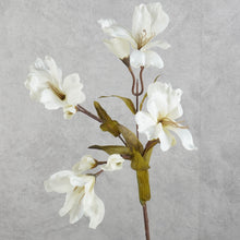 Load image into Gallery viewer, Alstroemeria White 58cm
