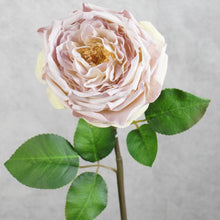 Load image into Gallery viewer, Jll Rose Light Mauve 50cm
