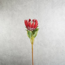 Load image into Gallery viewer, King Protea Red 73cm
