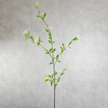 Load image into Gallery viewer, Spirea Green 105cm
