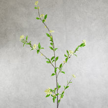 Load image into Gallery viewer, Spirea Green 105cm
