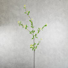 Load image into Gallery viewer, Spirea Green 105cm

