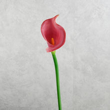 Load image into Gallery viewer, Calla Lily Burgundy 60cm
