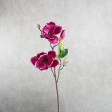 Load image into Gallery viewer, Magnolia Burgundy 70cm
