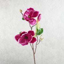 Load image into Gallery viewer, Magnolia Burgundy 70cm
