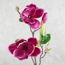 Load image into Gallery viewer, Magnolia Burgundy 70cm

