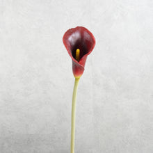 Load image into Gallery viewer, Calla Lily Dark Red 60cm
