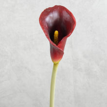 Load image into Gallery viewer, Calla Lily Dark Red 60cm
