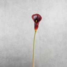 Load image into Gallery viewer, Calla Lily Dark Red 60cm
