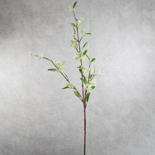 Load image into Gallery viewer, Aglaia White 98cm
