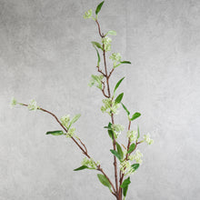 Load image into Gallery viewer, Aglaia White 98cm
