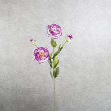Load image into Gallery viewer, Lisianthus Vari Purple 67cm
