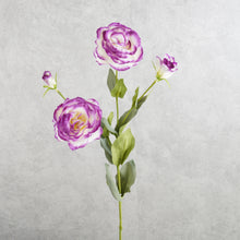 Load image into Gallery viewer, Lisianthus Vari Purple 67cm
