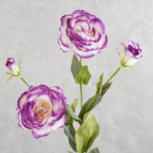 Load image into Gallery viewer, Lisianthus Vari Purple 67cm
