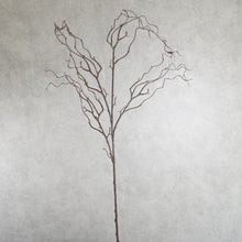 Load image into Gallery viewer, Pussy Willow Brown 134cm
