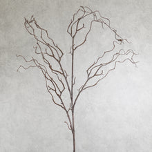 Load image into Gallery viewer, Pussy Willow Brown 134cm
