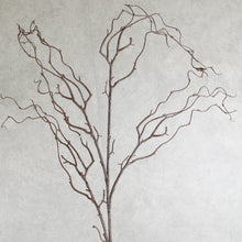 Load image into Gallery viewer, Pussy Willow Brown 134cm
