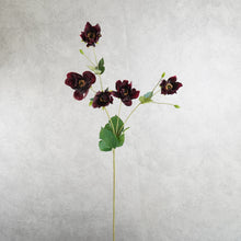 Load image into Gallery viewer, Windflower Burgundy 94cm
