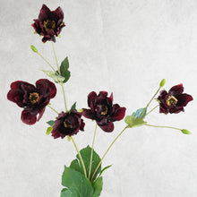 Load image into Gallery viewer, Windflower Burgundy 94cm
